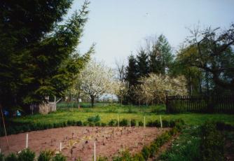 Garten mit Buchsbaumhecke